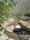 Buckquarter Creek Trail in Eno River State Park